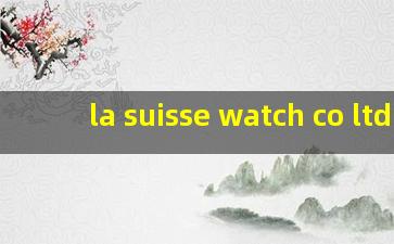 la suisse watch co ltd